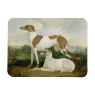 Zwei Windhunde in einer Landschaft (Öl auf Magnet