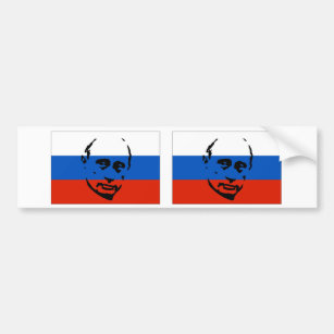 ZWEI Wladimir Putin/russische Flagge Autoaufkleber