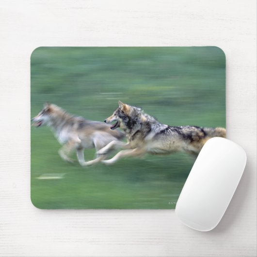 Zwei Wölfe auf der Alm Mousepad (Mit Mouse)