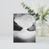 Zwei Wölfe gegenüberstehen Postkarte (Stehend Vorderseite)