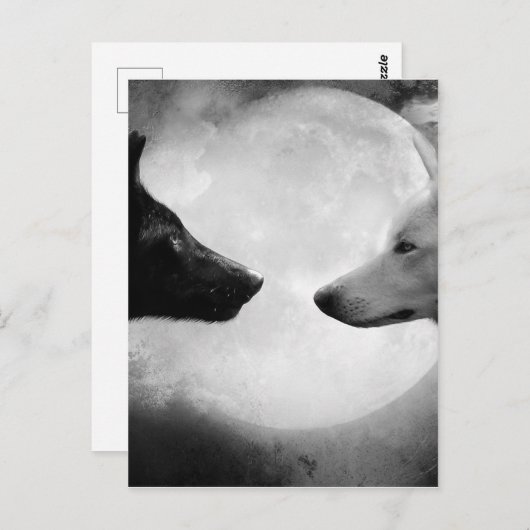 Zwei Wölfe gegenüberstehen Postkarte (Vorne/Hinten)