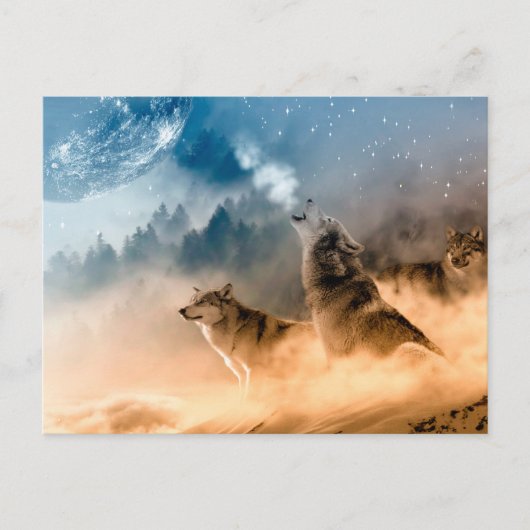 Zwei Wölfe heulen auf Vollmond im Wald Postkarte (Vorderseite)