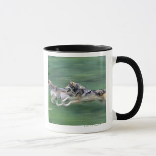 Zwei Wölfe in der Gebirgswiese Tasse