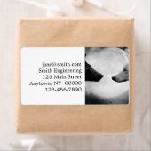 Zwei Wölfe stehen einander gegenüber (Insitu)