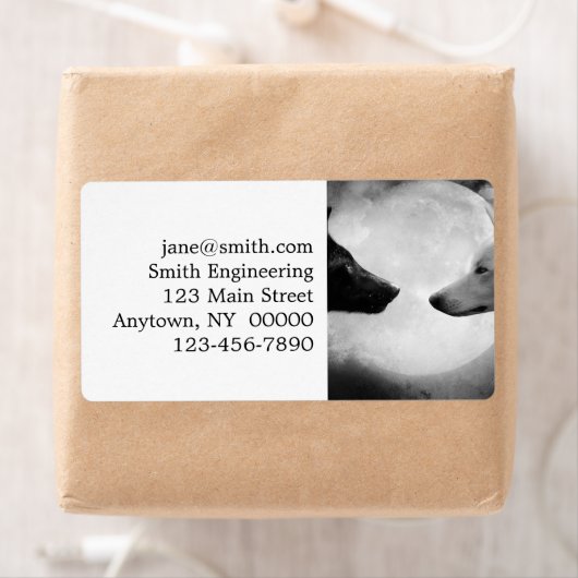 Zwei Wölfe stehen einander gegenüber (Insitu)