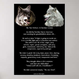 ZWEI WOLVES CHEROKEE TALE Art Poster
