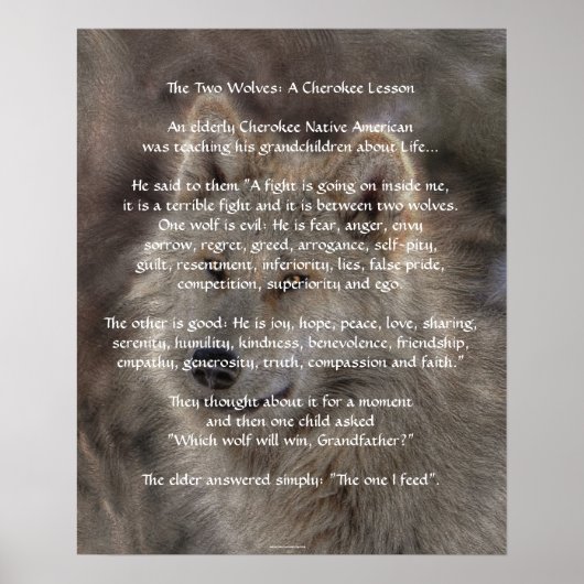 ZWEI WOLVES CHEROKEE TALE Art Poster (Vorne)