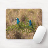 Zwei wunderschöne blaue Vögel auf einem Zweig Mousepad (Mit Mouse)