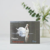 Zwei wunderschöne Swans Valentines Postcard Postkarte (Stehend Vorderseite)