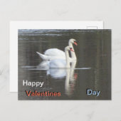 Zwei wunderschöne Swans Valentines Postcard Postkarte (Vorne/Hinten)