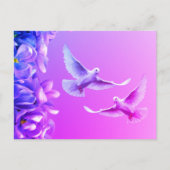 Zwei wunderschöne weiße Tauben Postkarte (Vorderseite)