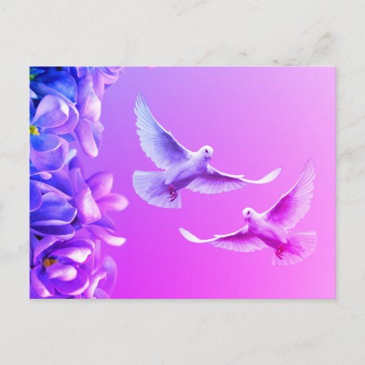 Zwei wunderschöne weiße Tauben Postkarte (Vorderseite)