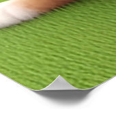 Zwei wunderschöne Welpen auf Gras sitzen Poster (Ecke)