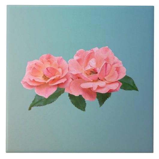 Zwei zarte rosa Rosen Fliese (Vorderseite)