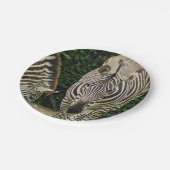 Zwei Zebras Pappteller (Schrägansicht)