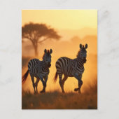 Zwei Zebras Postkarte (Vorderseite)