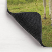 Zwei Zebras, Südafrika Mousepad (Ecke)