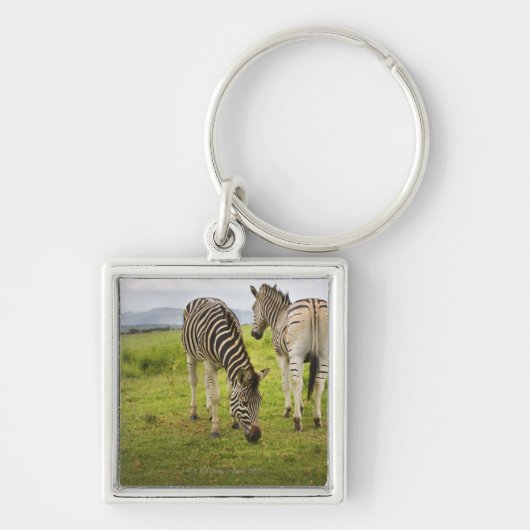Zwei Zebras, Südafrika Schlüsselanhänger (Vorne)
