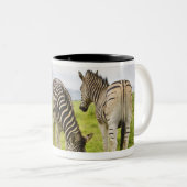 Zwei Zebras, Südafrika Zweifarbige Tasse (VorderseiteRechts)