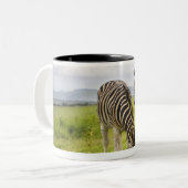 Zwei Zebras, Südafrika Zweifarbige Tasse (Vorderseite Links)