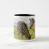 Zwei Zebras, Südafrika Zweifarbige Tasse (Mittel)