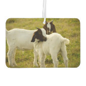 Zwei Ziegen Autolufterfrischer (Rückseite)