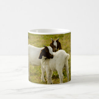 Zwei Ziegen Kaffeetasse