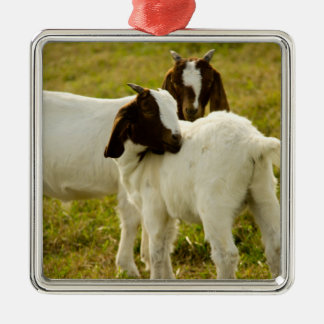 Zwei Ziegen Ornament Aus Metall