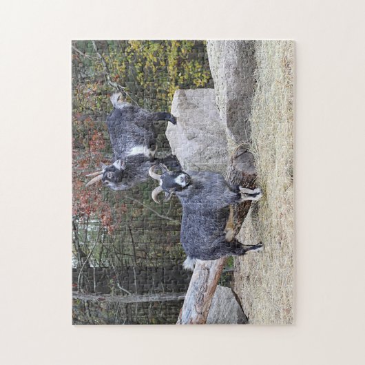 Zwei Ziegen Puzzle (Vertikal)