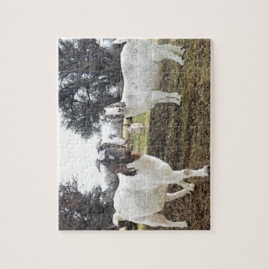 Zwei Ziegen Puzzle (Vertikal)