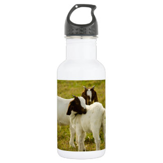 Zwei Ziegen Trinkflasche