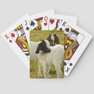 Zwei Ziegenboote Spielkarten