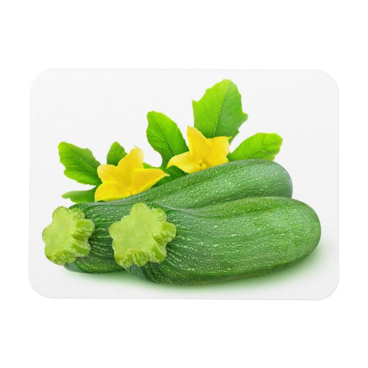 Zwei Zucchini Magnet (Horizontal)