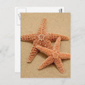 Zwei Zuckerstangen Postkarte (Vorne/Hinten)