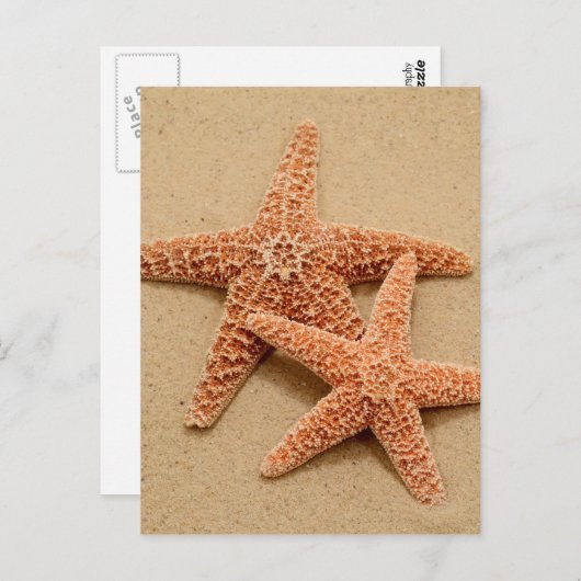 Zwei Zuckerstangen Postkarte (Vorne/Hinten)