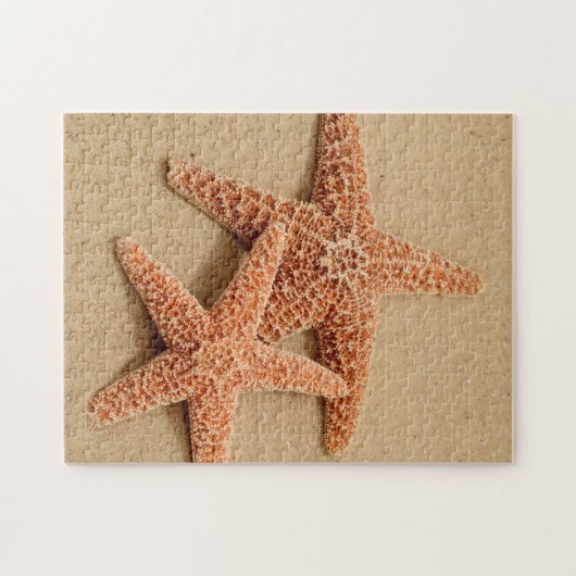 Zwei ZuckerStarfish Puzzle (Horizontal)