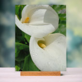 Zwei zum Tango Acrylschild (Neutral)