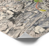 Zwei zwielichtig krebserregend poster (Ecke)