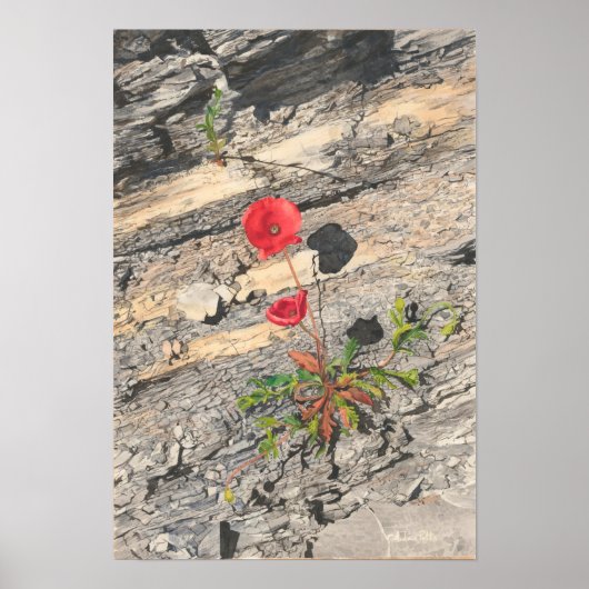 Zwei zwielichtig krebserregend poster (Vorne)