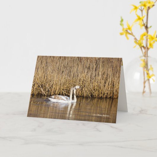 Zwei Zyklen im späten Herbst Karte (Gelbe Blume)