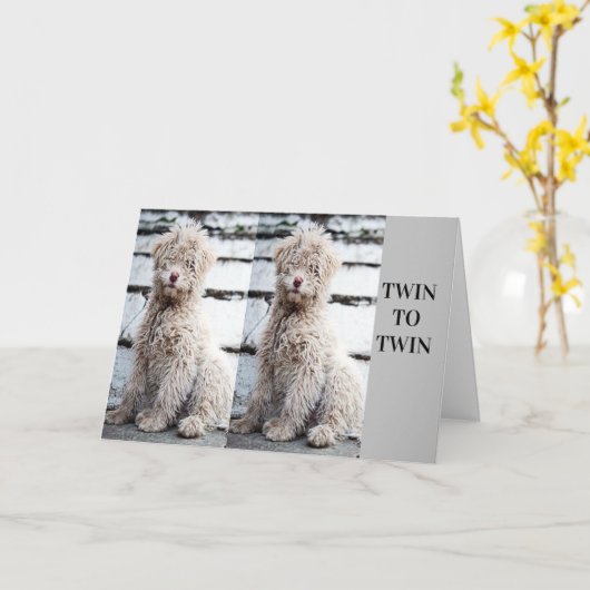 **ZWEIBRUDER ODER ZWEIFACHSCHWESTER** GEBURTSTAG KARTE (Gelbe Blume)