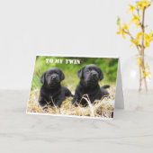 **ZWEIBRUDER ODER ZWEIMAL SCHWEIZER** GEBURTSTAGSK KARTE (Gelbe Blume)