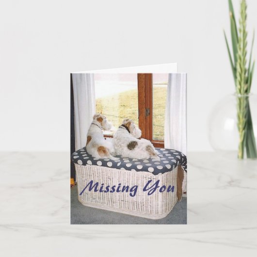 ZweidrahtFoxterrier im Fenster Karte (Vorderseite)