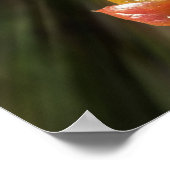 Zweifarben Poster (Ecke)