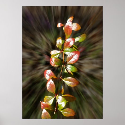 Zweifarben Poster (Vorne)