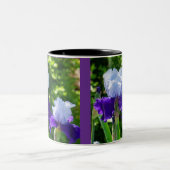 Zweifarbige Iris-Beauties Tasse (Mittel)