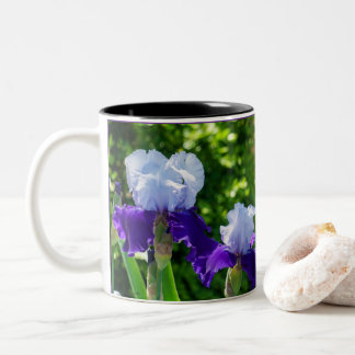 Zweifarbige Iris-Beauties Zweifarbige Tasse
