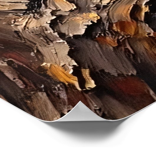 Zweig Buddy: Raccoon's Perch Poster (Ecke)