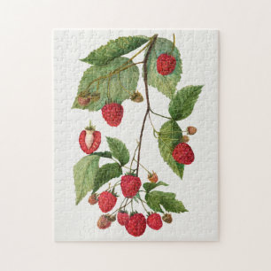 Zweig der Brombeerfrucht-Aquarellmalerei Puzzle