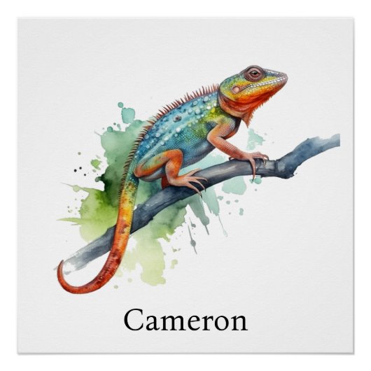 Zweig der Farben: Chameleon Art, Brauch Poster (Vorderseite)